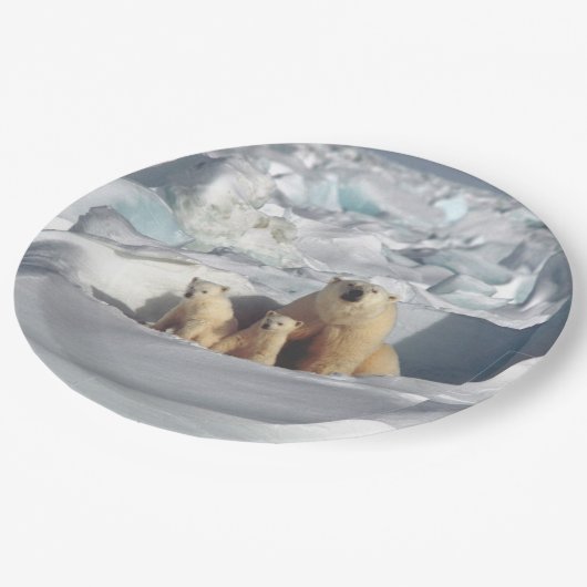 白くまの母カブスの北極野性生物のプレート ペーパープレート (アングル)
