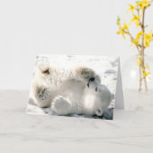 白くまカブス カード (黄色い花)