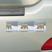 白くま バンパーステッカー (車上)