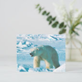 白くま ポストカード (スタンド正面)