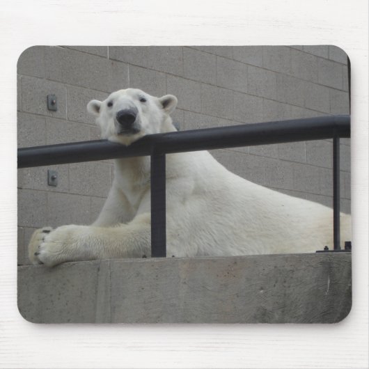 白くま マウスパッド (正面)