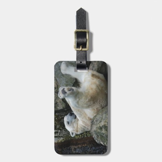 白くま ラゲッジタグ (正面縦)