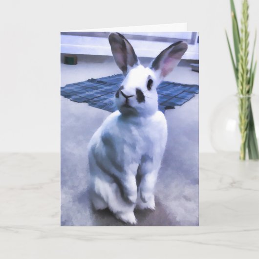 白く及び黒いバニー カード (正面)