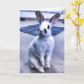 白く及び黒いバニー カード (黄色い花)