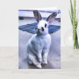 白く及び黒いバニー カード