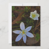 白く咲く 招待状 (正面)