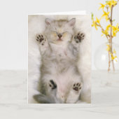 白く柔らかいカーペットで眠っている子ネコ高く カード (黄色い花)