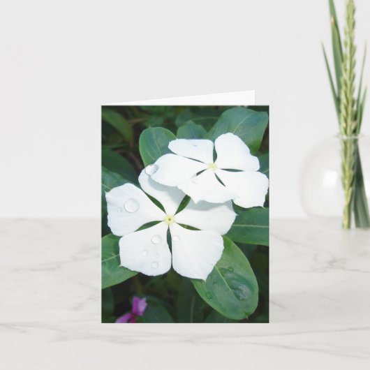 白く露わになる カード (正面)