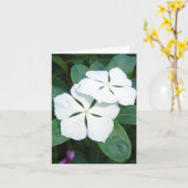 白く露わになる カード (黄色い花)