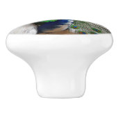 白く青い孔雀 セラミックノブ (側面)