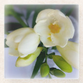 白く黄色いフリージア ガラスコースター (正面)