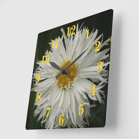 白く黄色い花 スクエア壁時計 (傾斜)