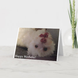 白く、おもしろいな子犬のハッピーバースデーカード カード