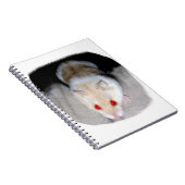 白く、ブロンドの白子のハムスターの写真 ノートブック (右側)