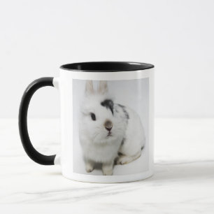 白く、黒いおよび茶色のウサギ マグカップ