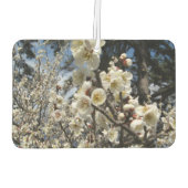 白さくらんぼの花/桜/ サクラ(桜) カーエアーフレッシュナー (裏面)