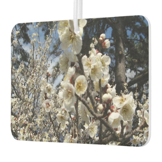白さくらんぼの花/桜/ サクラ(桜) カーエアーフレッシュナー (左)