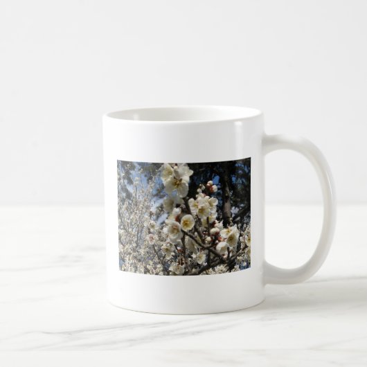 白さくらんぼの花/桜/ サクラ(桜) コーヒーマグカップ (右)