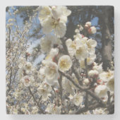 白さくらんぼの花/桜/ サクラ(桜) ストーンコースター (正面)