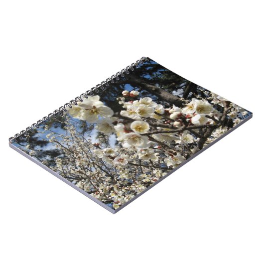 白さくらんぼの花/桜/ サクラ(桜) ノートブック (左側)