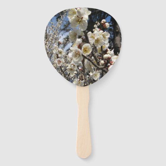 白さくらんぼの花/桜/ サクラ(桜) ハンドファン (正面)