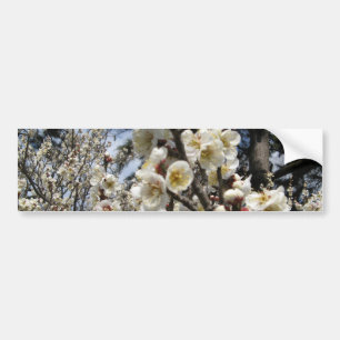 白さくらんぼの花/桜/ サクラ(桜) バンパーステッカー