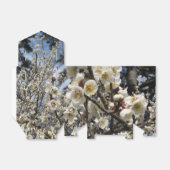 白さくらんぼの花/桜/ サクラ(桜) フェイバーボックス (折り畳みなし)