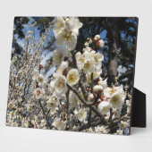 白さくらんぼの花/桜/ サクラ(桜) フォトプラーク (側面)