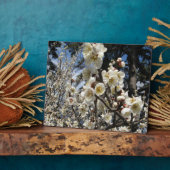 白さくらんぼの花/桜/ サクラ(桜) フォトプラーク (側面)