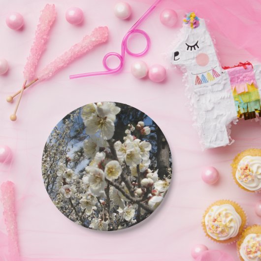 白さくらんぼの花/桜/ サクラ(桜) ペーパープレート (パーティー)