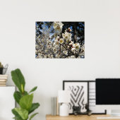 白さくらんぼの花/桜/ サクラ(桜) ポスター (ホームオフィス)