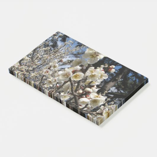 白さくらんぼの花/桜/ サクラ(桜) ポストイット (アングル)