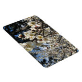 白さくらんぼの花/桜/ サクラ(桜) マグネット (右側)