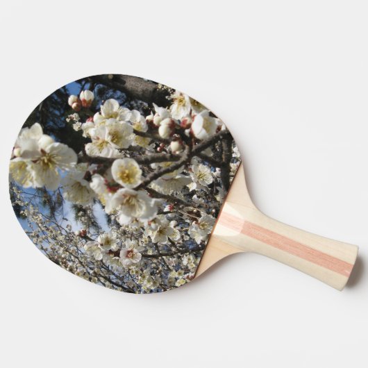 白さくらんぼの花/桜/ サクラ(桜) 卓球ラケット (横)