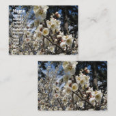 白さくらんぼの花/桜/ サクラ(桜) 名刺 (正面/裏面)