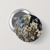 白さくらんぼの花/桜/ サクラ(桜) 缶バッジ (正面&裏面)