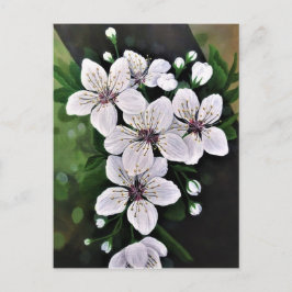 白さくらんぼ花花アートinアクリル ポストカード