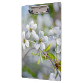 白さくらんぼ花 クリップボード (左)