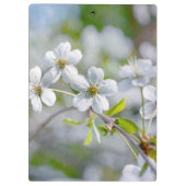 白さくらんぼ花 クリップボード (裏面)