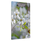 白さくらんぼ花 クリップボード (右)