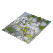 白さくらんぼ花 タイル (側面)