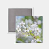 白さくらんぼ花 マグネット (正面/裏面)