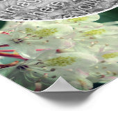 白つつじ花フレームあなたの写真を追加 ポスター (角)