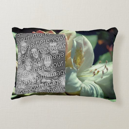 白つつじ花額写真の追加 アクセントクッション (裏面)