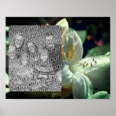 白つつじ花額写真の追加 ポスター (正面)