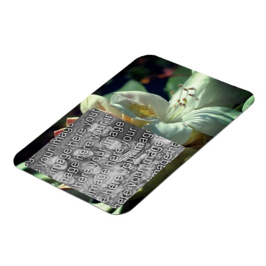 白つつじ花額写真の追加 マグネット (左側)