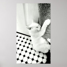 白つる黒猫のポスター ポスター