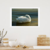 白でソフト ポスター (キッチン)