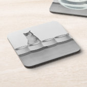 白でペットボールの側で坐り、舐めている猫 コースター (左側)