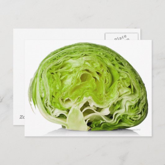 白で半分に切った新鮮な氷山レタス ポストカード (正面/裏面)